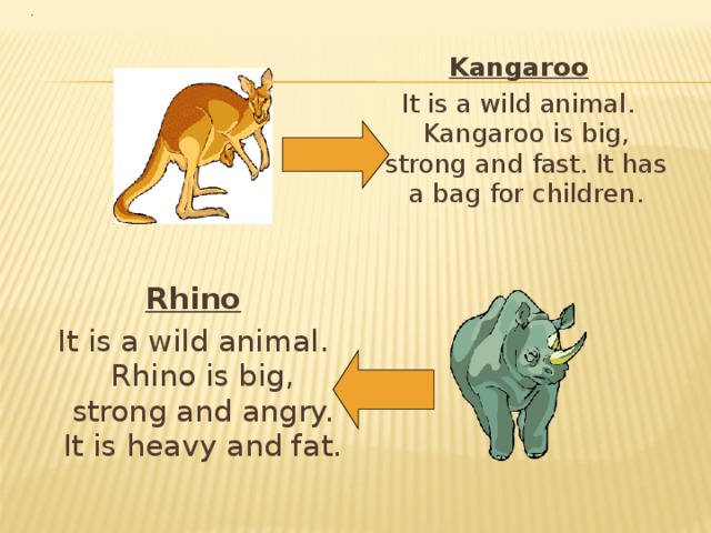 Kangaroo It is a wild animal. Kangaroo is big, strong and fast. It has a bag for children. Rhino It is a wild animal. Rhino is big, strong and angry. It is heavy and fat. 
