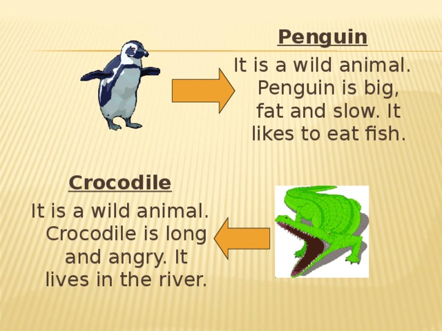 Penguin It is a wild animal. Penguin is big, fat and slow. It likes to eat fish. Crocodile It is a wild animal. Crocodile is long and angry. It lives in the river. 