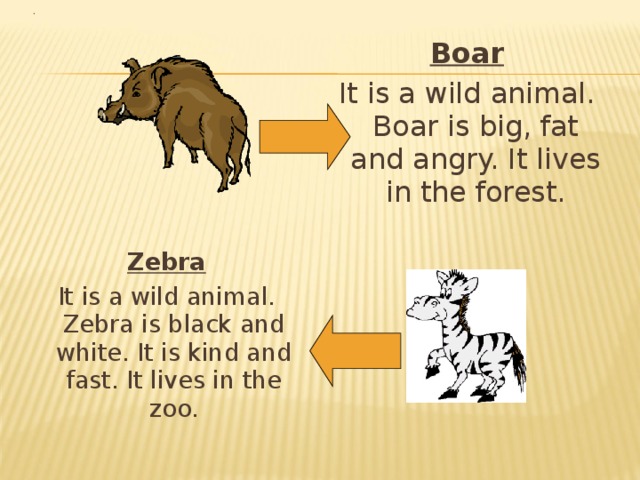 Boar It is a wild animal. Boar is big, fat and angry. It lives in the forest. Zebra It is a wild animal. Zebra is black and white. It is kind and fast. It lives in the zoo. 