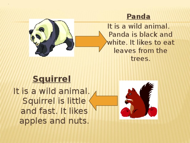 Panda It is a wild animal. Panda is black and white. It likes to eat leaves from the trees. Squirrel It is a wild animal. Squirrel is little and fast. It likes apples and nuts. 