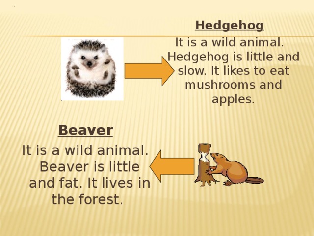 Hedgehog It is a wild animal. Hedgehog is little and slow. It likes to eat mushrooms and apples. Beaver It is a wild animal. Beaver is little and fat. It lives in the forest. 