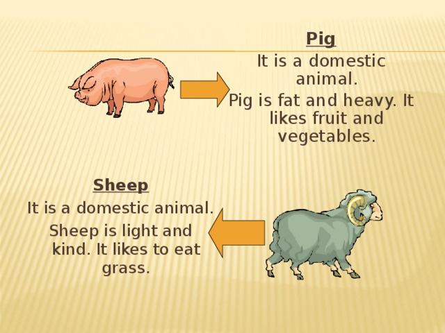 Pig It is a domestic animal. Pig is fat and heavy. It likes fruit and vegetables. Sheep It is a domestic animal. Sheep is light and kind. It likes to eat grass. 
