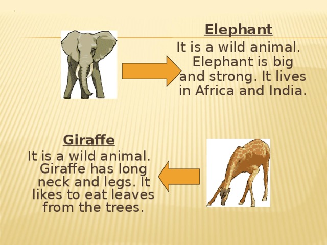 Elephant It is a wild animal. Elephant is big and strong. It lives in Africa and India. Giraffe It is a wild animal. Giraffe has long neck and legs. It likes to eat leaves from the trees. 
