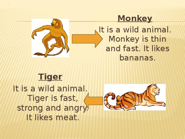 Monkey It is a wild animal. Monkey is thin and fast. It likes bananas. Tiger It is a wild animal. Tiger is fast, strong and angry. It likes meat. 