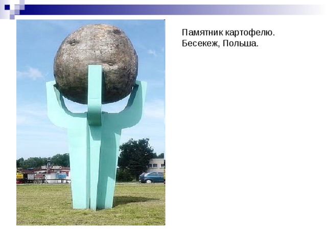  Памятник картофелю. Бесекеж, Польша. 