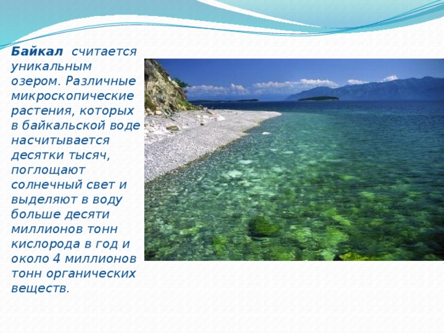 Расскажите почему байкал считается уникальным явлением природы. Почему Байкал считается уникальным явлением природы. Сообщение о разных Озерах коротко.