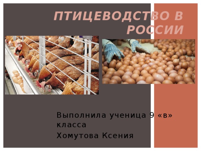 Птицеводство презентация 8 класс
