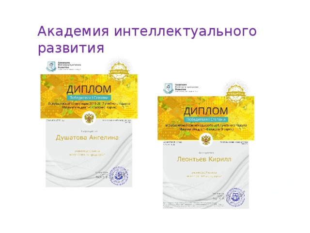 Академия интеллектуального развития