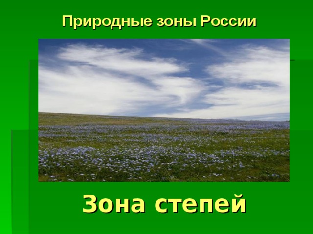 Природные зоны России  Зона степей 
