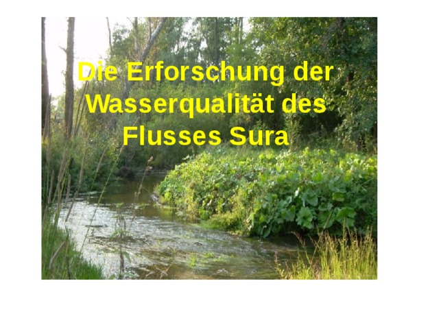 Die Erforschung der Wasserqualität des Flusses Sura  