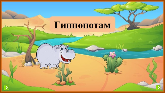 Гиппопотам 