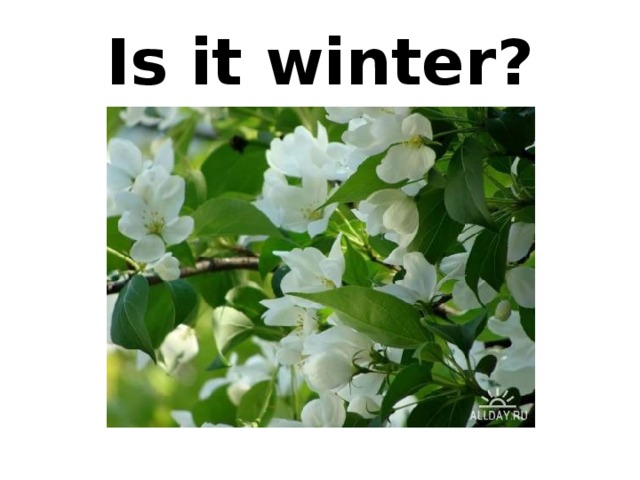 Is it winter? 