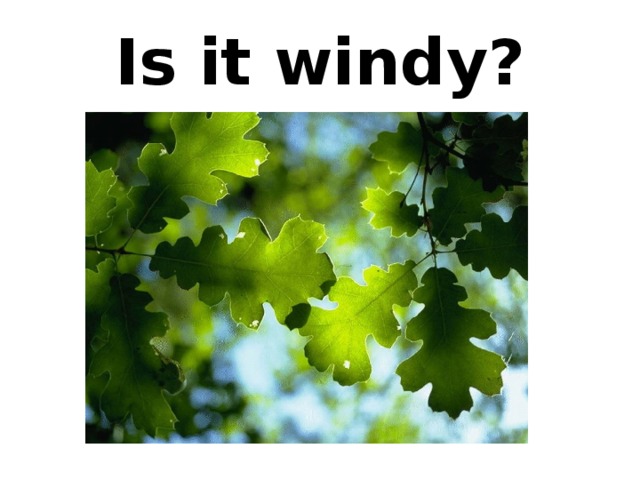 Is it windy? 