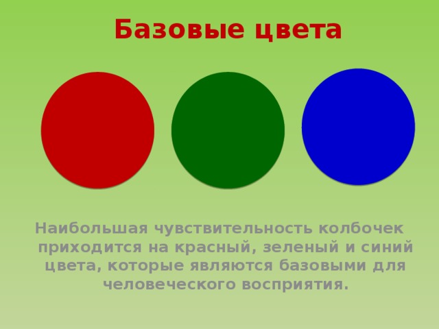 Базовые цвета Наибольшая чувствительность колбочек приходится на красный, зеленый и синий цвета, которые являются базовыми для человеческого восприятия. 