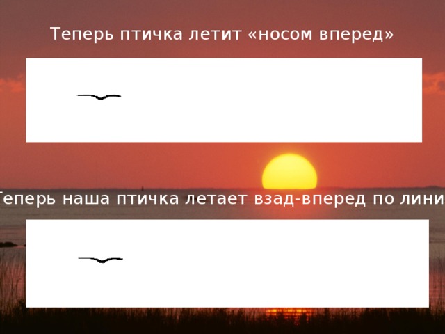Теперь птичка летит «носом вперед»                                                      Теперь наша птичка летает взад-вперед по линии .  