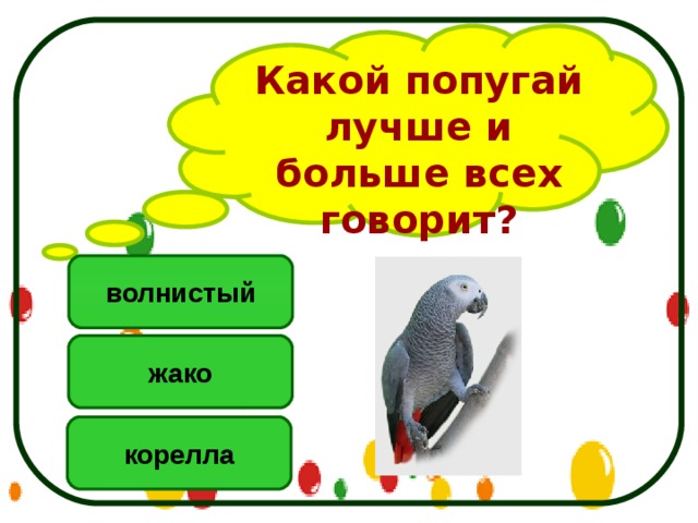 Какой попугай лучше и больше всех говорит? волнистый жако корелла