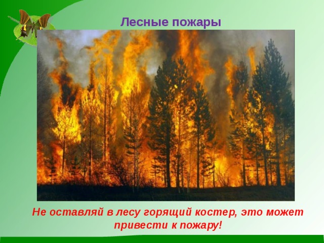 Лесные пожары Не оставляй в лесу горящий костер, это может привести к пожару! 