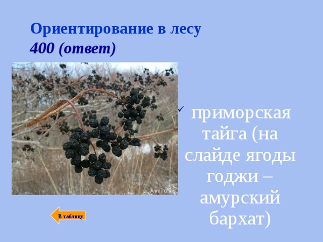Ориентирование в лесу  400 (ответ)   приморская тайга (на слайде ягоды годжи – амурский бархат)  В таблицу 