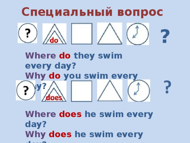 Специальный вопрос ? Where do they swim every day? Why do you swim every day? Where does he swim every day? Why does he swim every day? 