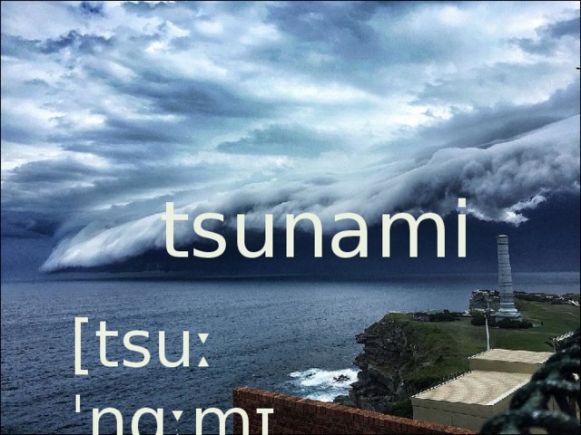 tsunami [tsuːˈnɑːmɪ ] 