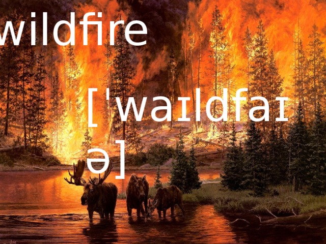 wildfire [ˈwaɪldfaɪə] 