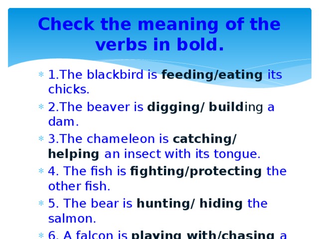 Check the meaning of the verbs in bold. 1.The blackbird is feeding/eating  its chicks. 2.The beaver is digging/ build ing a dam. 3.The chameleon is catching/ helping an insect with its tongue. 4. The fish is fighting/protecting the other fish. 5. The bear is hunting/ hiding  the salmon. 6. A falcon is playing with/chasing a group of smaller birds. 