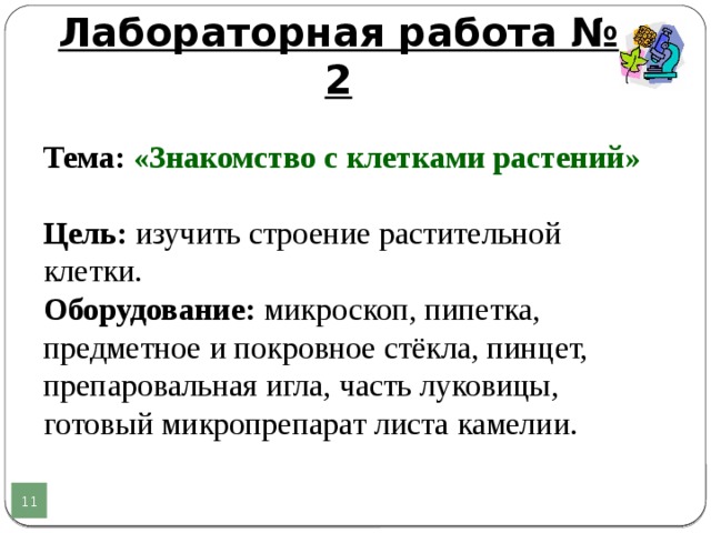 Лабораторная работа по теме "Кожа" 8 класс