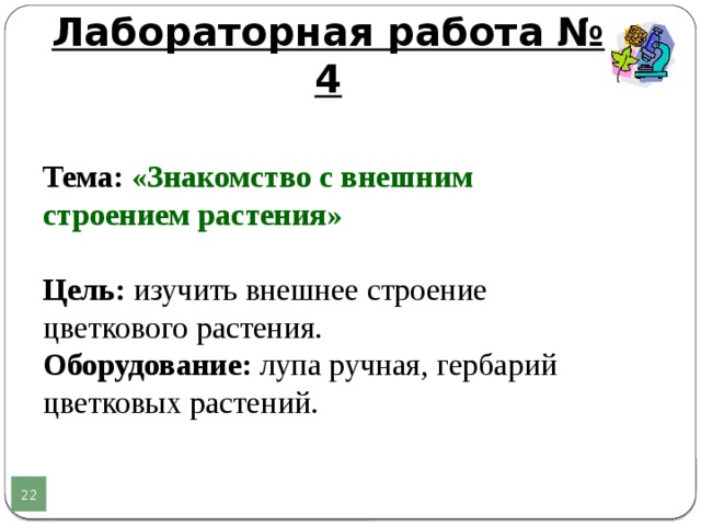 Лабораторная работа по биологии 5 класс растения