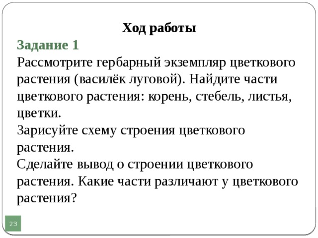 Вывод о строении. Вывод строение цветкового растения. Сделайте вывод о строении цветкового растения.. Рассмотрите гербарный экземпляр цветкового растения. Сделайте вывод о строении цветковых растений.