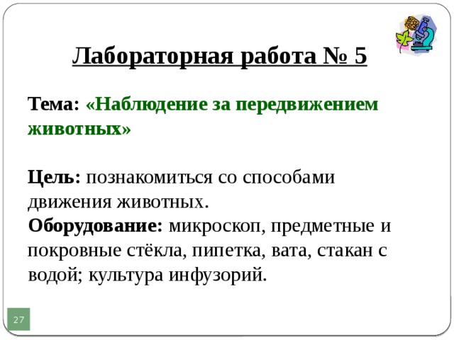 5 класс биология лабораторная работа номер