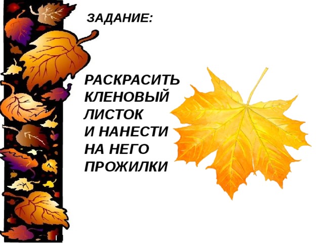 Конспект и презентация урока изо 1 класс мастер изображения учит видеть