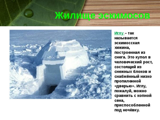 Жилище эскимосов Иглу  – так называется эскимосская хижина, построенная из снега. Это купол в человеческий рост, состоящий из снежных блоков и снабжённый низко пропиленной «дверью». Иглу, пожалуй, можно сравнить с копной сена, приспособленной под ночёвку.  