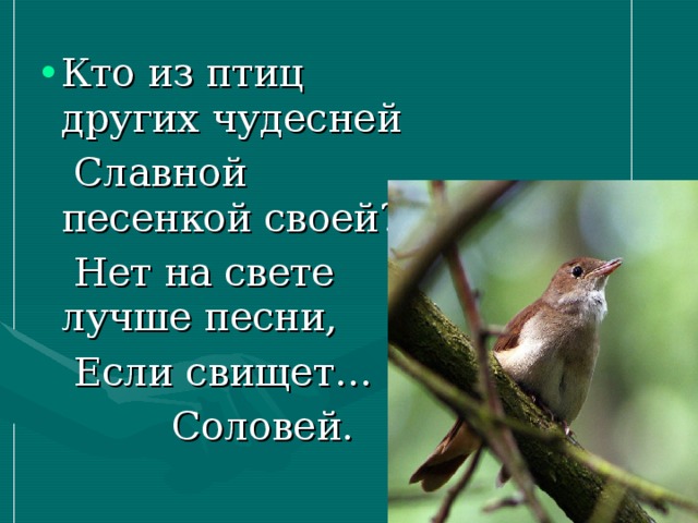 Кто из птиц других чудесней