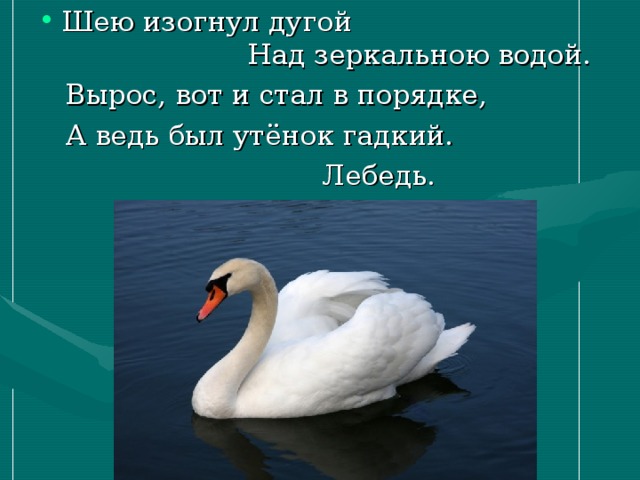 Шею изогнул дугой Над зеркальною водой.