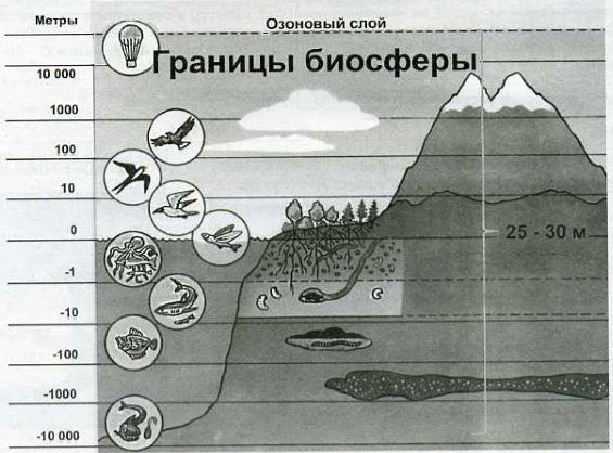 Нарисуйте схему границы биосферы покажите штриховкой область земли в которой существует