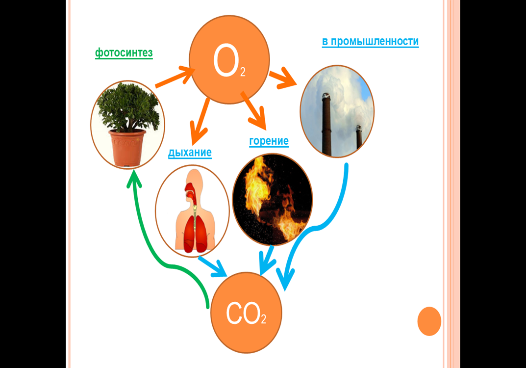 Круговорот кислорода в природе презентация