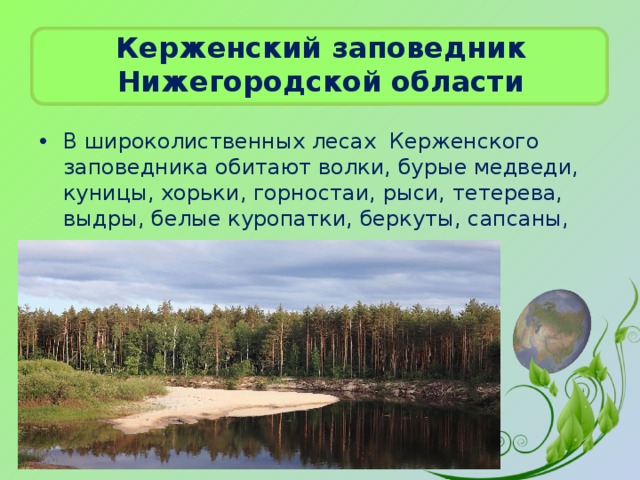 Заповедники нижегородской области презентация