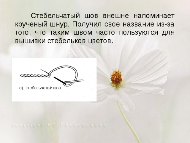  Стебельчатый шов внешне напоминает крученый шнур. Получил свое название из-за того, что таким швом часто пользуются для вышивки стебельков цветов. 