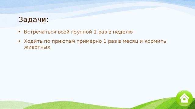 Задачи: Встречаться всей группой 1 раз в неделю Ходить по приютам примерно 1 раз в месяц и кормить животных 