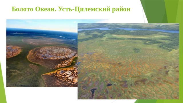 Болото океан. Болото океан. Усть-Цилемский район. Болото океан в Республике Коми. Самое большое болото в Республике Коми. Заказник океан Республики Коми.