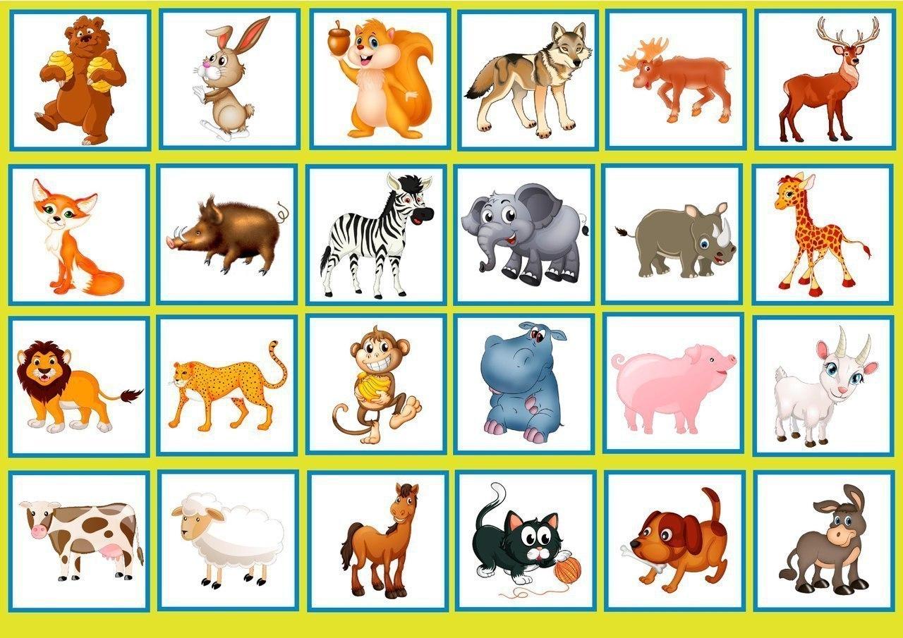 Игры любимые животные. Дидактическая игра животные. Карточки с изображением животных. Для детей. Животные. Карточки животные для детей.