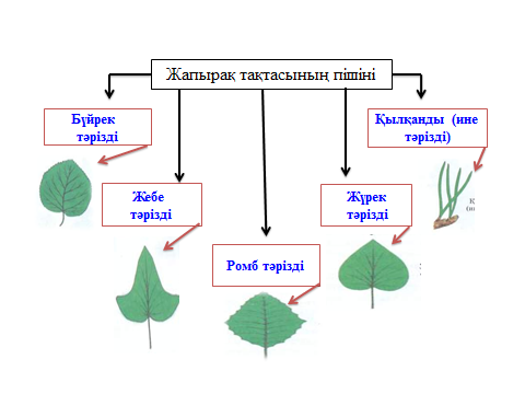 Торлы диаграмма әдісі