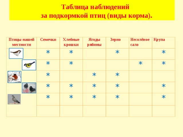 Технологическая карта наблюдение за птицами