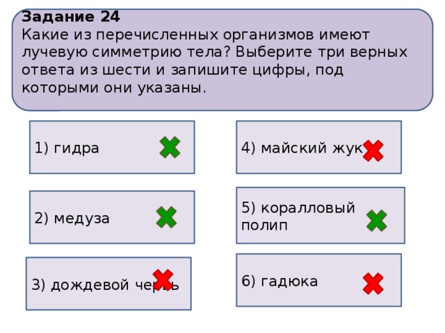 Какие из перечисленных организмов