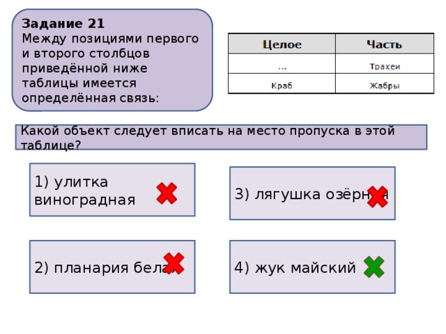 В приведенной ниже таблице между позициями