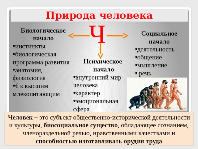 Человек биологический человек социальный человек духовный. Биологические инстинкты человека. Биологическое начало в человеке. Биологическая программа развития человека. Биологическое начало человека и социальное начало человека.