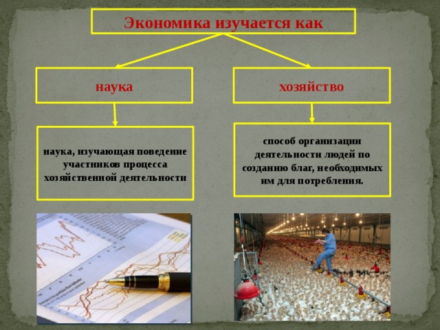 Экономика наука изучающая поведение участников процесса. Экономика и государство 11 класс. Организация деятельности по созданию благ. Организация деятельности по созданию благ картинки.