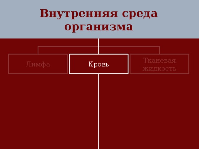 Внутренняя среда организма Лимфа Кровь Тканевая жидкость