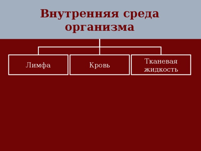 Внутренняя среда организма Лимфа Кровь Тканевая жидкость