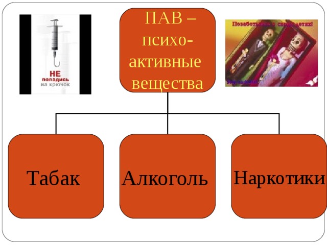 Презентация на тему пав